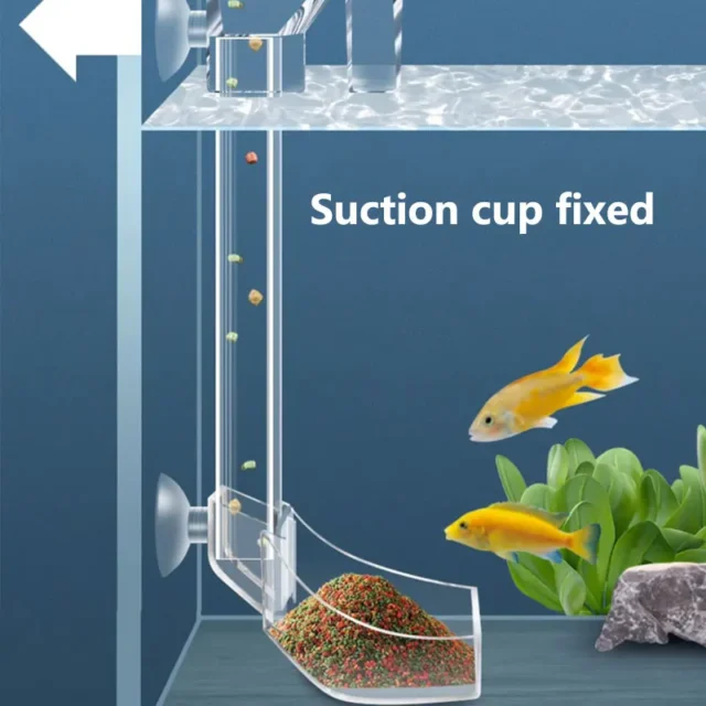 Aquarium Acrylic Feeding tube Anti-stuck fish design Transparent fish feeder Suitable for a variety of fish tanks - Image 6
