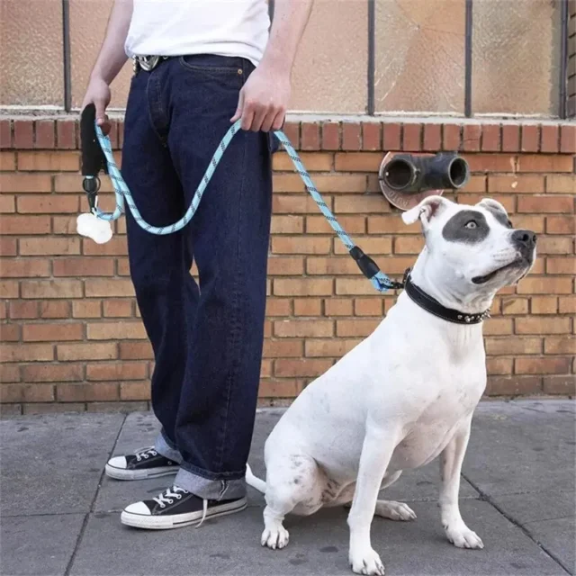 Reflective Dog Leash With Comfortable Padded Handle - Double Heavy Duty Traction Rope For Strong Dogs - Enhance Safety And Contr - Image 3