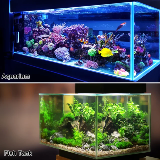 UXCELL Aquarium Water Changer Tools Siphon Clean Vacuum Cleaner Pump Squeeze Filter Fish Tank Cleaning Maintenance Accessories - Image 5