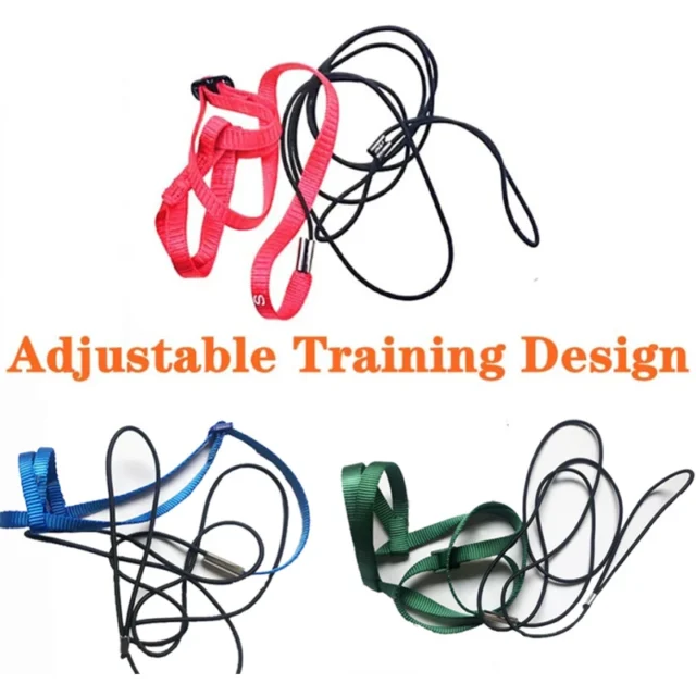Parrot Bird Harness Leash Outdoor Activities Flying Traction Straps Band Flying Rope For Small Parakeets Cockatiels Bird NEW - Image 2