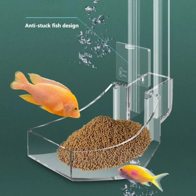 Aquarium Acrylic Feeding tube Anti-stuck fish design Transparent fish feeder Suitable for a variety of fish tanks - Image 3