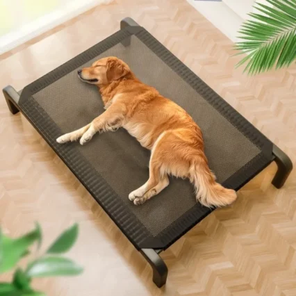 Big Dog Bed Convenient Carrying Moisture Prevention for Outdoor Pet Beds At Home Get Off The Ground Summer Dogs Nest Big Cat Bed